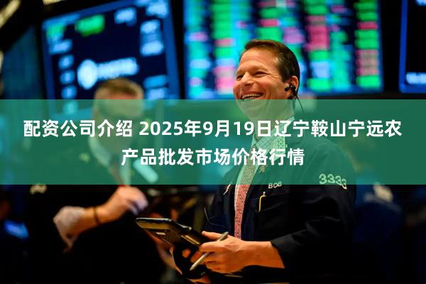 配资公司介绍 2025年9月19日辽宁鞍山宁远农产品批发市场价格行情