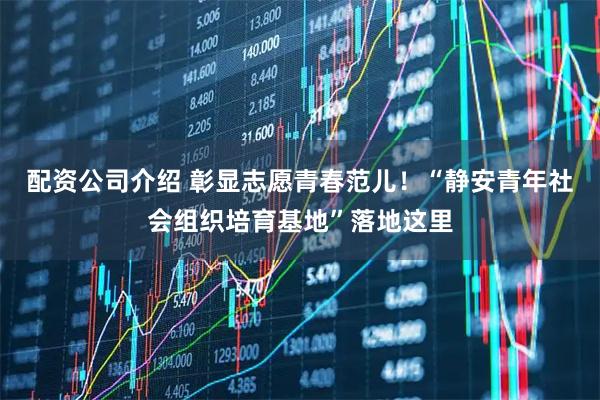 配资公司介绍 彰显志愿青春范儿！“静安青年社会组织培育基地”落地这里